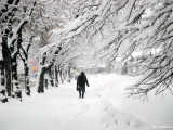Making their way to office under heavy snowfall is daily morning routine for Kievians.
