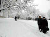 In spite of heavy snow, Kievian office workers have no luxury of getting late to work.
