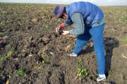 We take risk of getting beaten when the CP appeares to be in the middle of a farmland