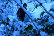 41N 41E. We can't even see each other through the vegetation combined with snow