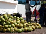 Coconuts are a popular refreshment.
