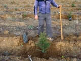 All set! Our own saplings are seen here and there behind within the affected zone