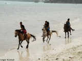 Horse riders