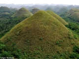 The chocolate hills in Bohol
