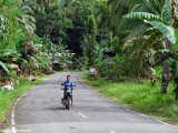 Bohol