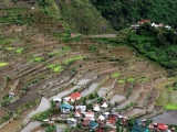 The rice terraces of Batad have stone retaining walls