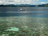 The coral reefs of Coron are absolutely sublime