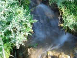 Our tiny cascade beside the camp.