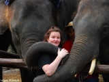 Elephants in Chiang Mai