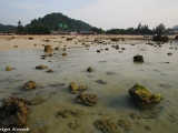Koh Pipi is ready to throw a new year's eve party