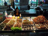 An Asian delicacy: fried insects